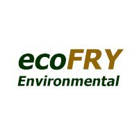 ecoFRY