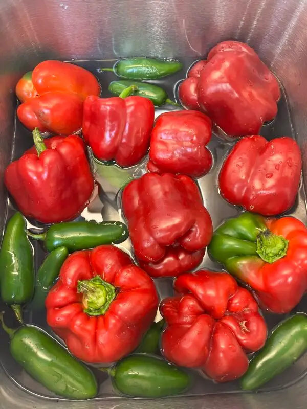 Pepper Mason, jalapeño and red pepper