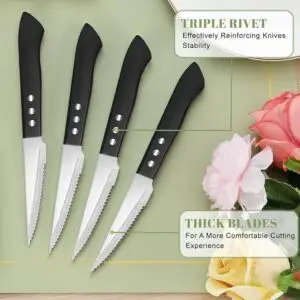 pleafind steak knife